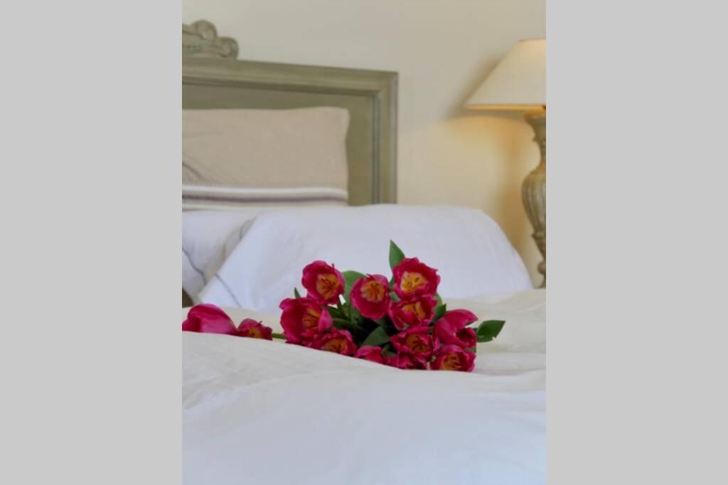 Bord De Mer - Ac, Wifi, Chic, Sea View, Beach 2 Minutes Walk アンティーブ エクステリア 写真